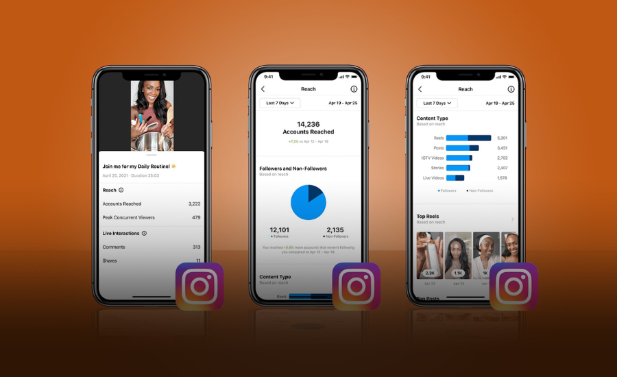 Instagram Reel Insights