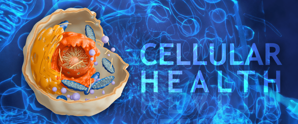 Deciphering Myths and Facts about Cellular Health: Understanding the Scientific Basis