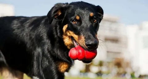 The Ultimate Guide to Indestructible Dog Toys: Durable Fun for Every Pup